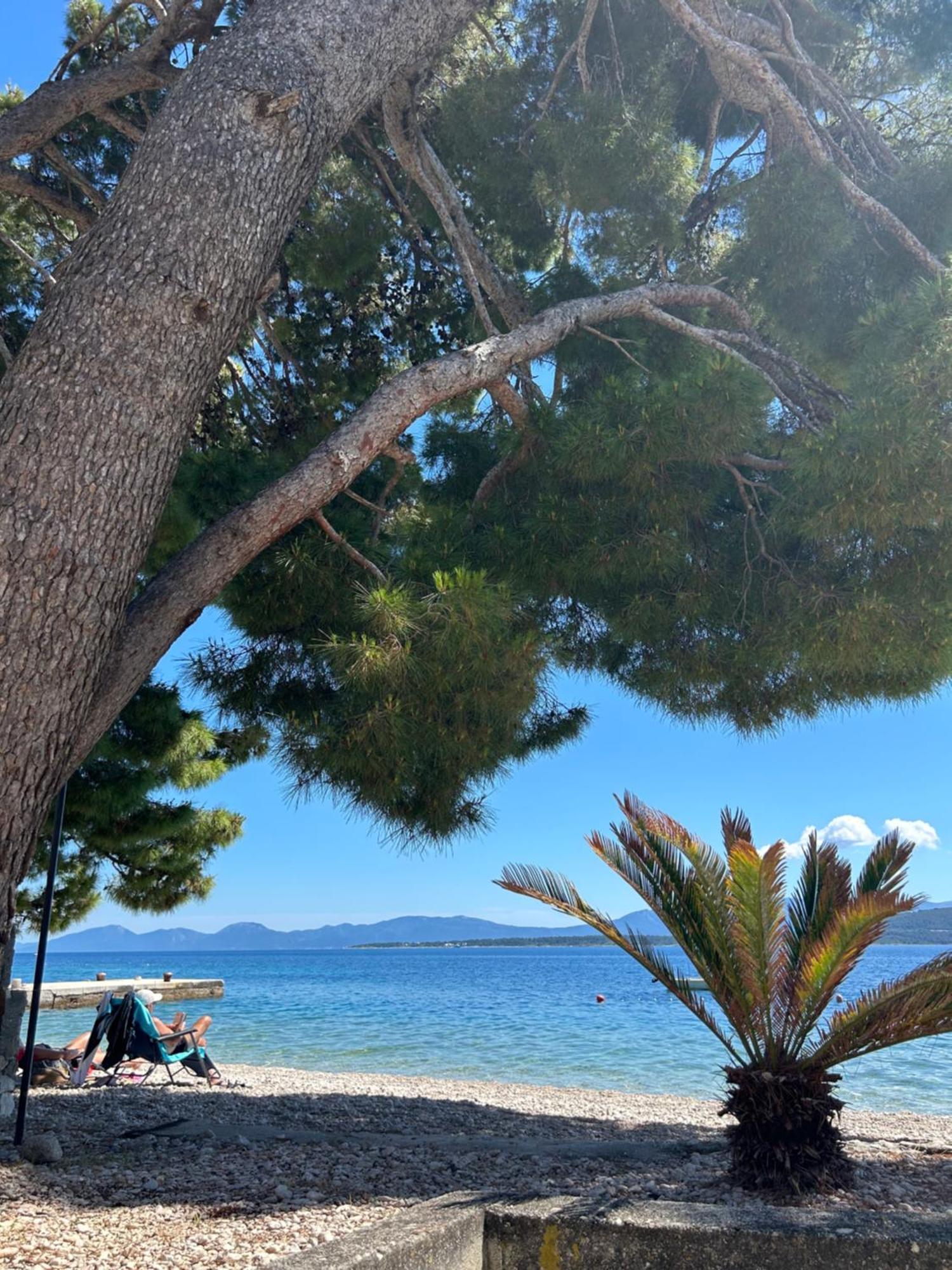 Sobe Gorana Hotel Živogošće Eksteriør billede