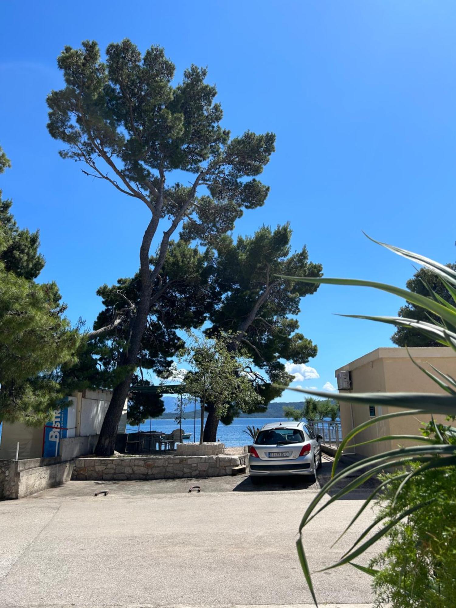 Sobe Gorana Hotel Živogošće Eksteriør billede